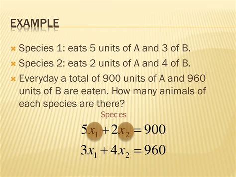 Image result for Basis Vector