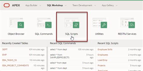 Image result for SQL Long Scripts