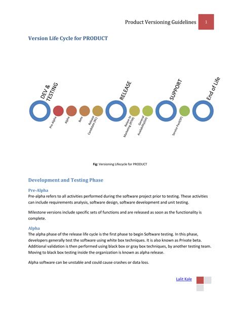 Image result for Software Versioning