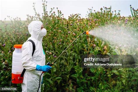 Image result for Weed Control Spraying