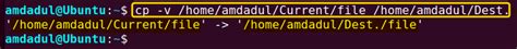 Toradh íomhá ar How Are Linux File Paths Shown