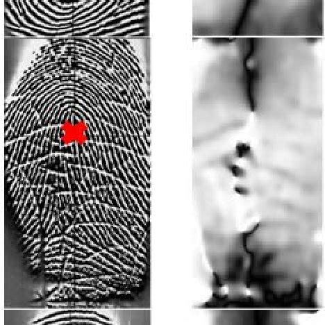 Toradh íomhá ar Fingerprint Core Examples