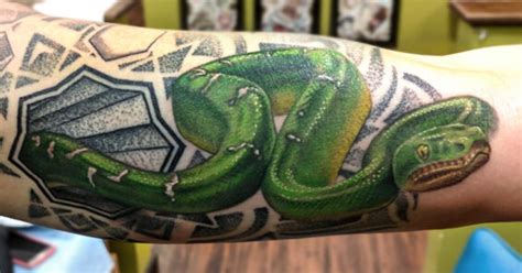 Afbeeldingsresultaten voor Green Tree Python Tattoo