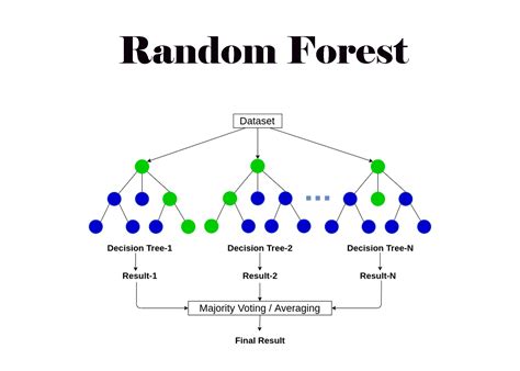 Image result for Random Forest Classification Model Diagram