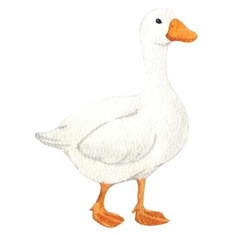 Toradh íomhá ar Single Element Micro LED