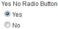 Image result for Java Swing Radio Button Yes No