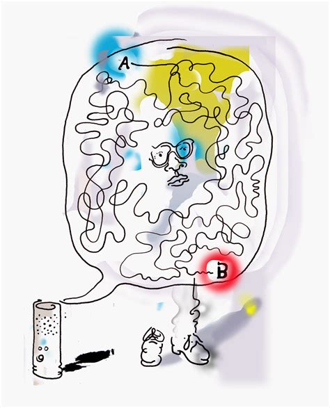 Rules to Write an Algorithm に対する画像結果