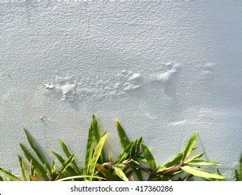 Toradh íomhá ar Buffing Defect in Paint