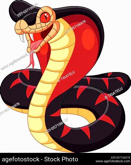 Toradh íomhá ar Python Scary Straight White Background