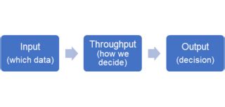 Image result for Input Throughput Output Model Jan Eppink