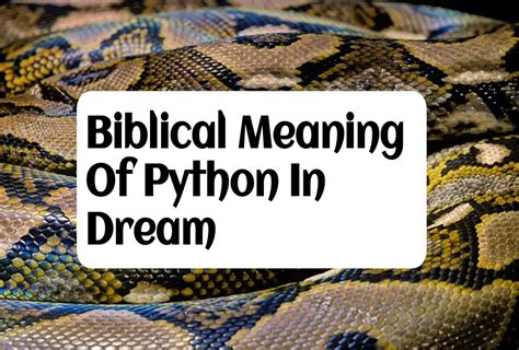 Image result for What Is the Meaning of Python