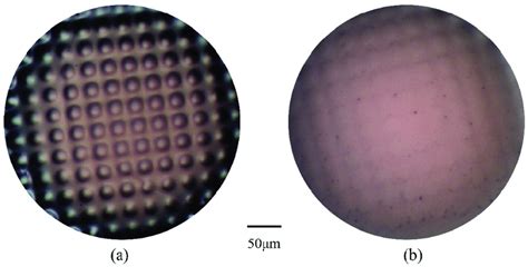 Double Face Microlens Array に対する画像結果