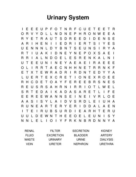 Afbeeldingsresultaten voor Integers Word Search Answer Key