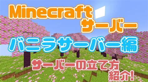 minecraft java server に対する画像結果