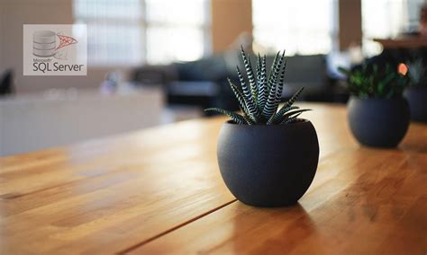 SQL Developer SQL Server に対する画像結果