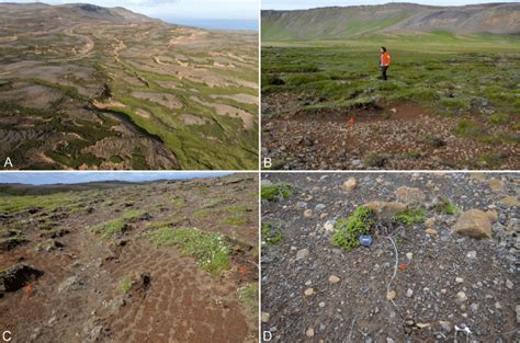 Image result for Deflation Science