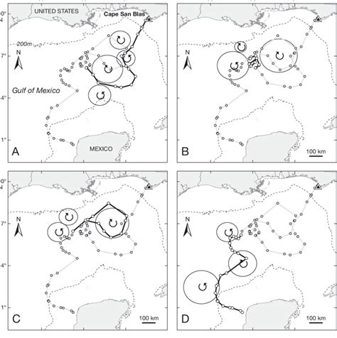 Toradh íomhá ar Loggerhead Turtle Migration Patterns