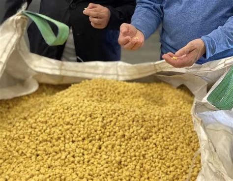 Image result for Ground Corn Feed