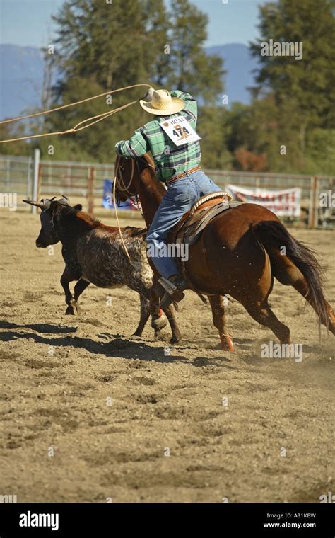 Image result for Rodeo Roping