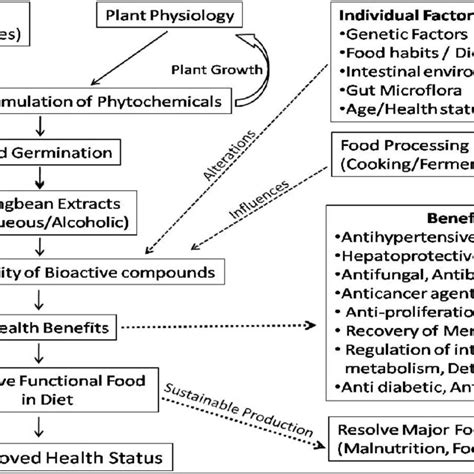 Image result for Bioactive Factors