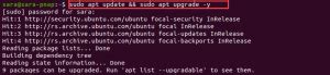 Image result for How to Update Apt in Linux Bash Script
