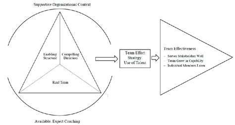 Hackman Model of Team Effectiveness に対する画像結果