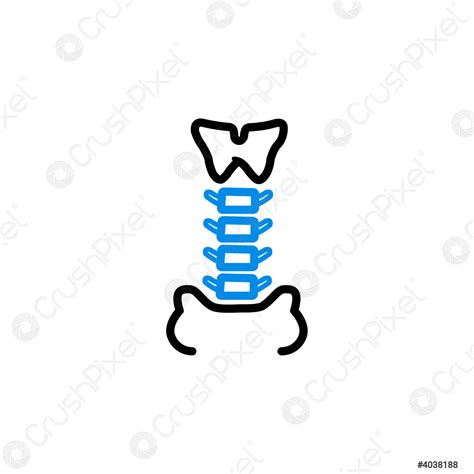 Image result for Backbone Vector