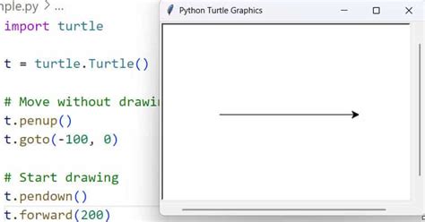 Image result for Python Turtle Pen Projects