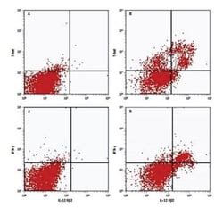 Image result for Flow Cytometry Sample Preparation