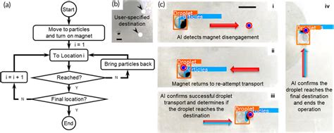 Toradh íomhá ar Real-Time Closed Loop Control