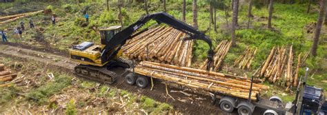 Image result for Logging Line Mallet