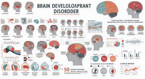 Brain Development Disorders に対する画像結果