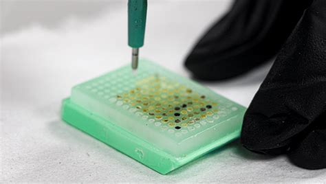 Tissue Microarray に対する画像結果