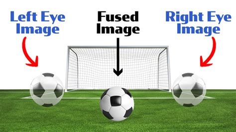 Image result for Poor Depth Perception