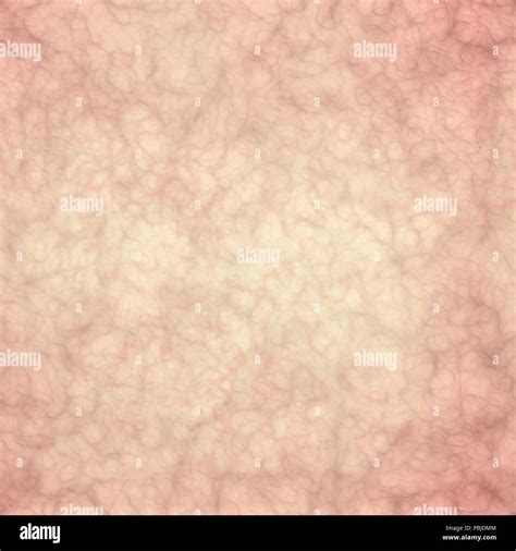 Image result for Human Torso 3D Skin Texture