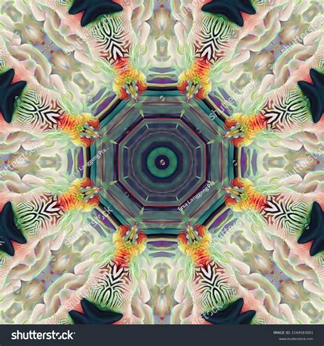 Image result for Python Skin Wall Decoration