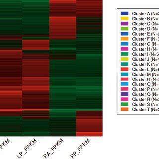 Image result for Heat Map for K-Means Clusters Python