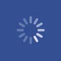 Image result for Loading Component Facebook