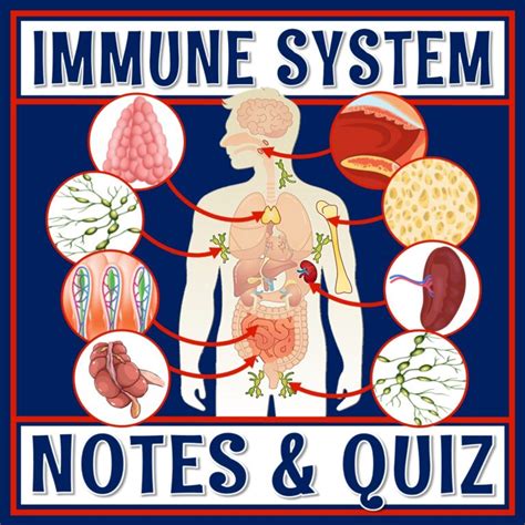 Image result for BioInteractive the Immune System Answer Key