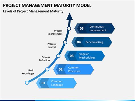 Image result for Project Portfolio Management Maturity Model