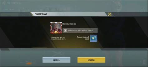 Afbeeldingsresultaten voor Display Names Cod