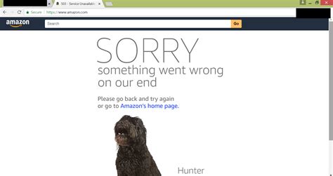 Image result for Amazon Error Message Box