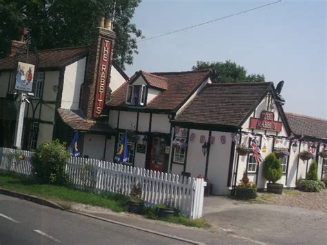 Image result for Bus Number 375