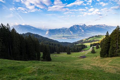 Toradh íomhá ar Foto Challenge