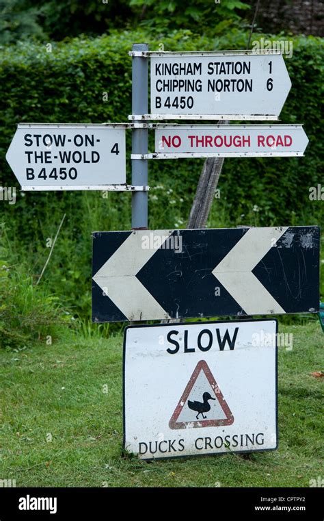 Image result for Slow Birds Crossing