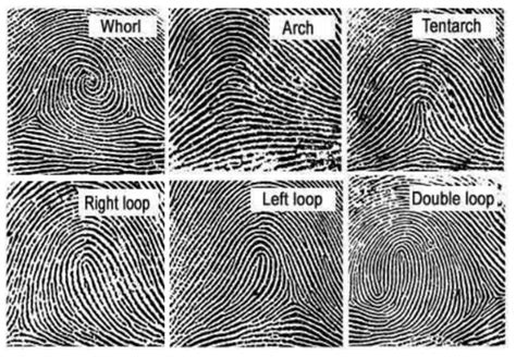 Toradh íomhá ar Fingerprint Core Examples