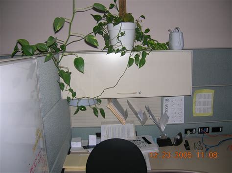 Image result for Cubicle Warren