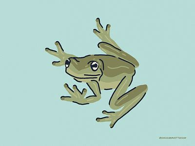 Image result for Tree Frog Design
