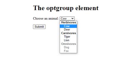 Image result for Option Group HTML