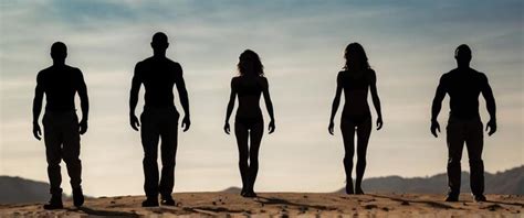 Image result for Basic Human Figure